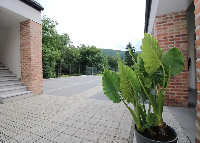 A Haz Гостевой дом Мишкольц